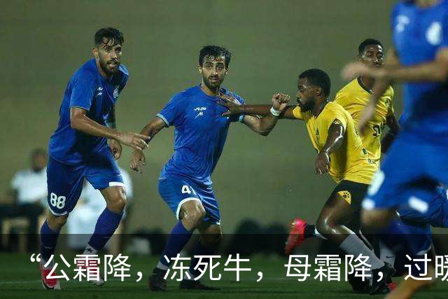 “公霜降，冻死牛，母霜降，过暖冬”，今年霜降是公还是母？答案来了！